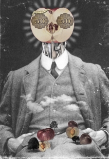 Organic Farmer Organic Farmer