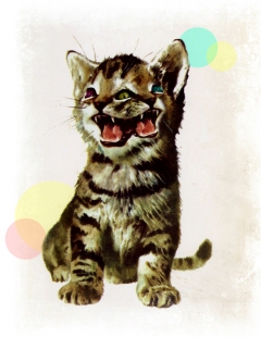 I Scream You Scream I Scream You Scream