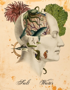 Salt Water Salt Water