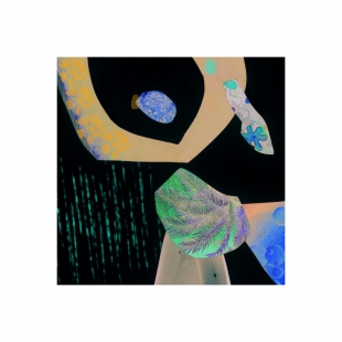 Inverse Collage Study #2