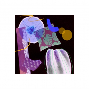 Inverse Collage Study #3