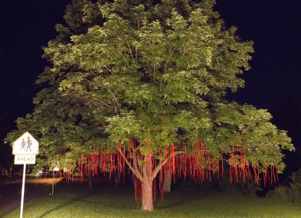 BLACK HAWK YAHARA: a river of tears