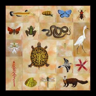 ENDANGERED WISCONSIN