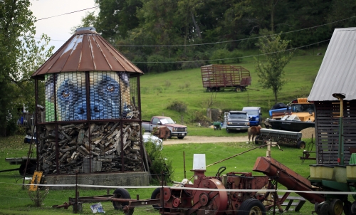 A Mutual Curiosity  #4