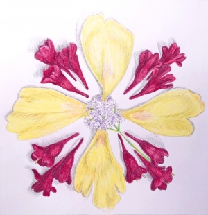 flower mandala, peony and weigelia