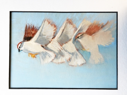 Study for chipping sparrow